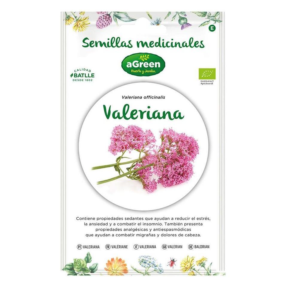 Agreen About valerian seeds "medicinal" eco 857014bolsh (Kräutersamen) (49367456)
