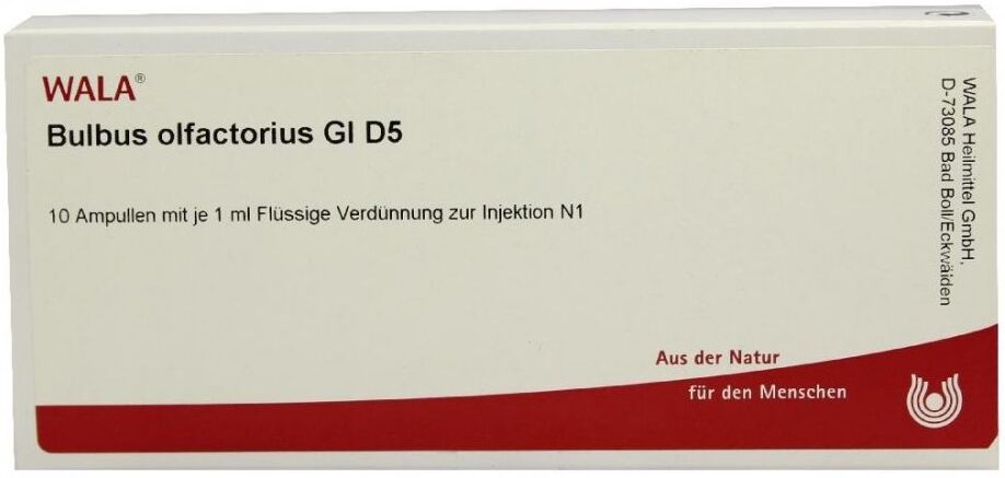 Wala Bulbus Olfactorius Gl D5 Ampullen