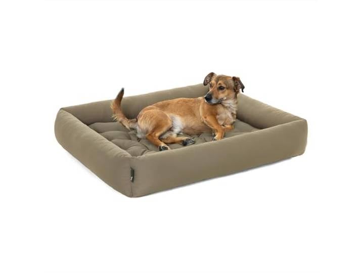 Pointer Hundebett Mittelgroße Hunde - Orthopädisches Hundebett mit Herausnehmbarer Matratze, Waschbar bis 95°C, Trocknergeeignet, Kratzfest & Bissfest, Made in Germany (XL - 90x80 cm, Goldbraun)