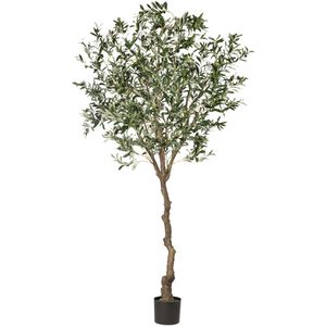 Creativ-green Kunstpflanze Olivenbaum, Kunstbaum im Topf mit Kunststoffstamm, Höhe 240 cm