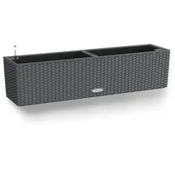 LECHUZA BALCONERA Cottage 80 Outdoor Pflanzgefäß Wand-montiert Polypropylen (PP) Grau