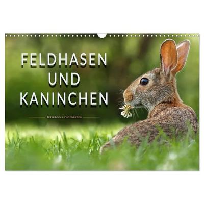 Feldhasen und Kaninchen (Wandkalender 2027 DIN A3 quer), CALVENDO Monatskalender