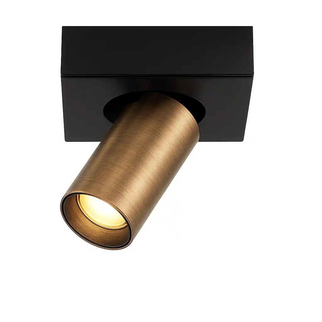 Highlight Spot Eliano 1-lichts zwart brons