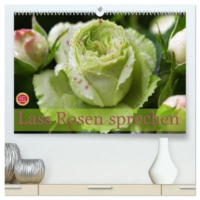 Lass Rosen sprechen (hochwertiger Premium Wandkalender 2026 DIN A2 quer), Kunstdruck in Hochglanz