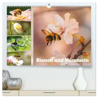 Bienen und Hummeln in Aktion (hochwertiger Premium Wandkalender 2027 DIN A2 quer), Kunstdruck in Hochglanz