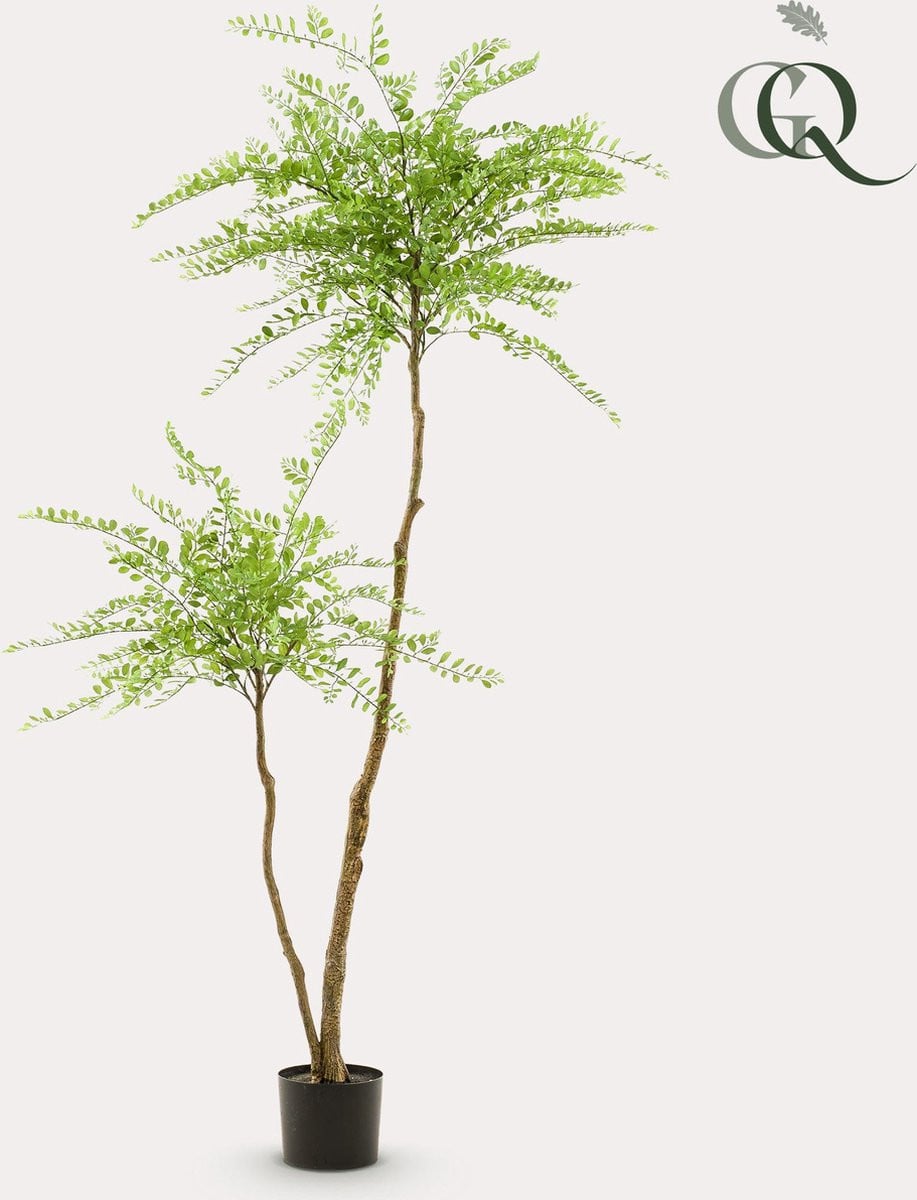 Green Boutiq Kunstplant Sophora Honingboom