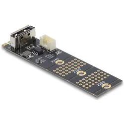 Delock Adapter M.2 Key B Stecker zu SATA 7 Pin vertikal (30 cm), Interne Kabel (PC)
