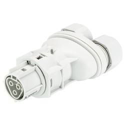 Wieland Electric 96.031.4353.0 Steckverbinder