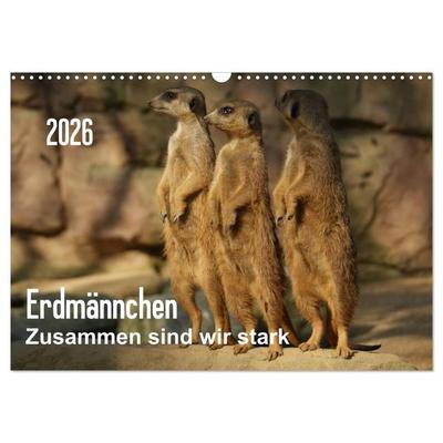 Erdmännchen – Zusammen sind wir stark / CH-Version (Wandkalender 2026 DIN A3 quer), CALVENDO Monatskalender