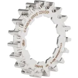 Gates CDX hintere Riemenscheibe, 19 Zähne, Rohloff, silber, Gates, 78980748-AM