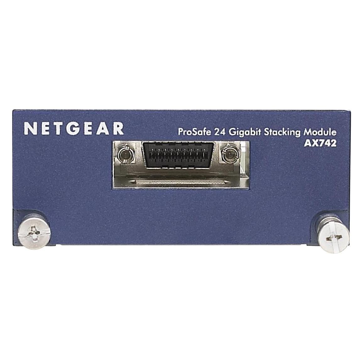 Netgear AX742, zwei 24 Gigabit Ethernet XFP Adapter Module (AX742)