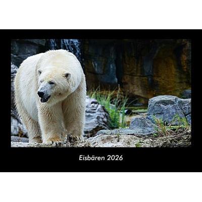 Eisbären 2026 Fotokalender DIN A3