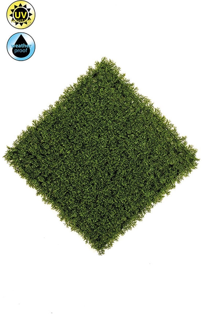 Emerald Kunstplantenwand Cypress UV - 50 x 50 cm