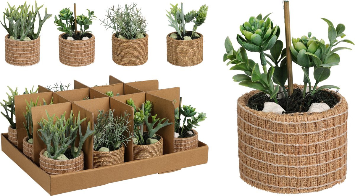 Vetplant Bonsai in Naturele Pot – Kunstplant Succulent in Bloempot – Groene Decoratie