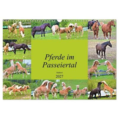Pferde im Passeiertal (Wandkalender 2027 DIN A3 quer), CALVENDO Monatskalender