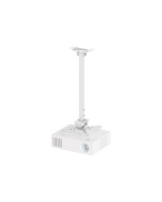 Neomounts Beamer ceiling mount Deckenhalterung (CL25-550WH1)