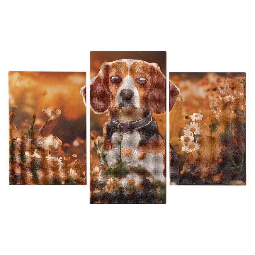 Grafix Diamantmalerei-Triptychon-Set - Hund (62806546)