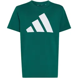 adidas Essentials T-Shirt ältere Kinder KR1653 - collegiate green/white 152