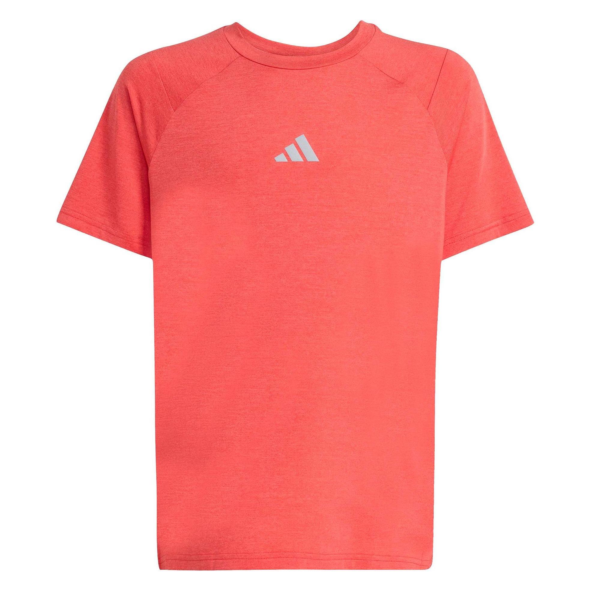 Adidas J Gt Pz Tee - dupe/duin/refsil (176) (ADIKD8546_000)