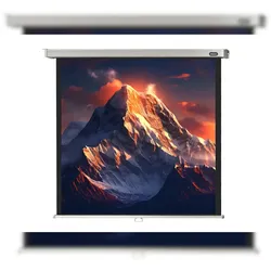 celexon Leinwand Rollo Professional 180 x 180 cm - 100`