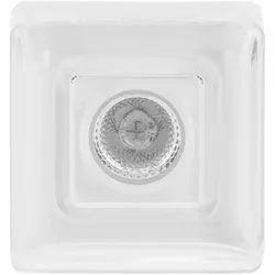 Busch-Jaeger 2069/21 Busch-iceLight® Set Deckenlicht Komplettset 2CKA001510A0018 206921