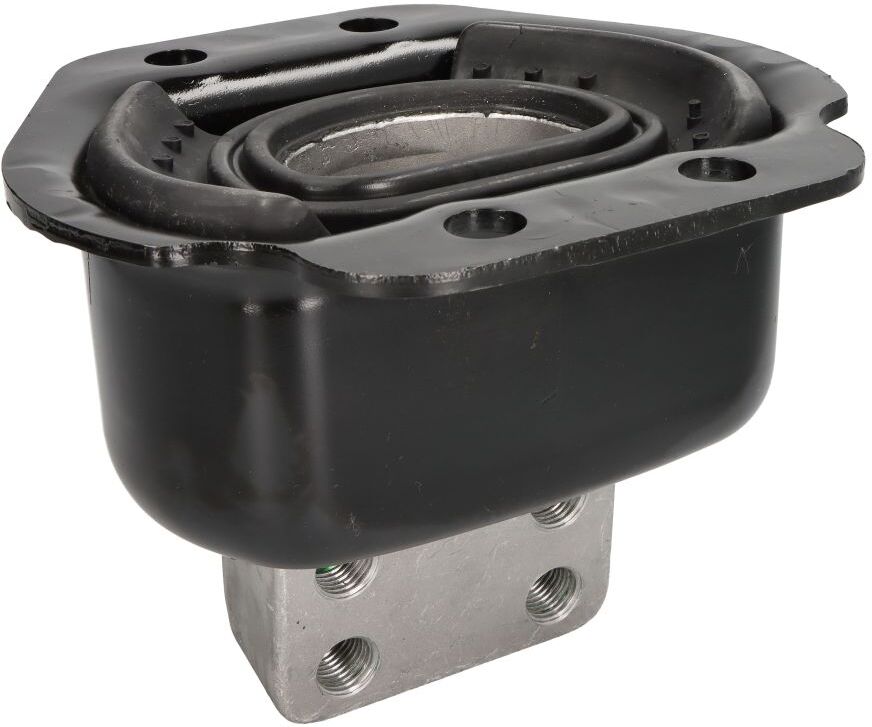 Reinhoch Supporto motore RH58-8015