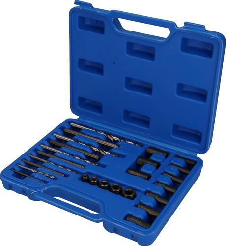 Brilliant Tools BT541900 HSS Schraubenausdreher-Satz, 25-tlg