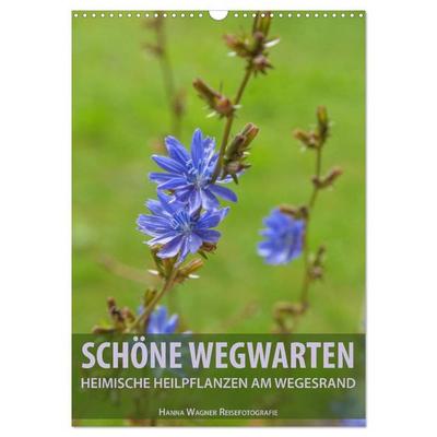 Schöne Wegwarten. Heimische Heilpflanzen am Wegesrand (Wandkalender 2027 DIN A3 hoch), CALVENDO Monatskalender