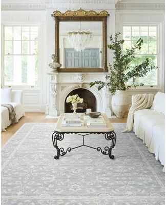Nabela Noor Home x Livabliss Asha Traditional Area Rug