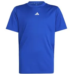adidas Train Essentials Logo Regular Fit T-Shirt Kinder - royblu/