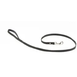 Alter Ego Italy Class (XS, Hund, Spazieren), Halsband + Leine