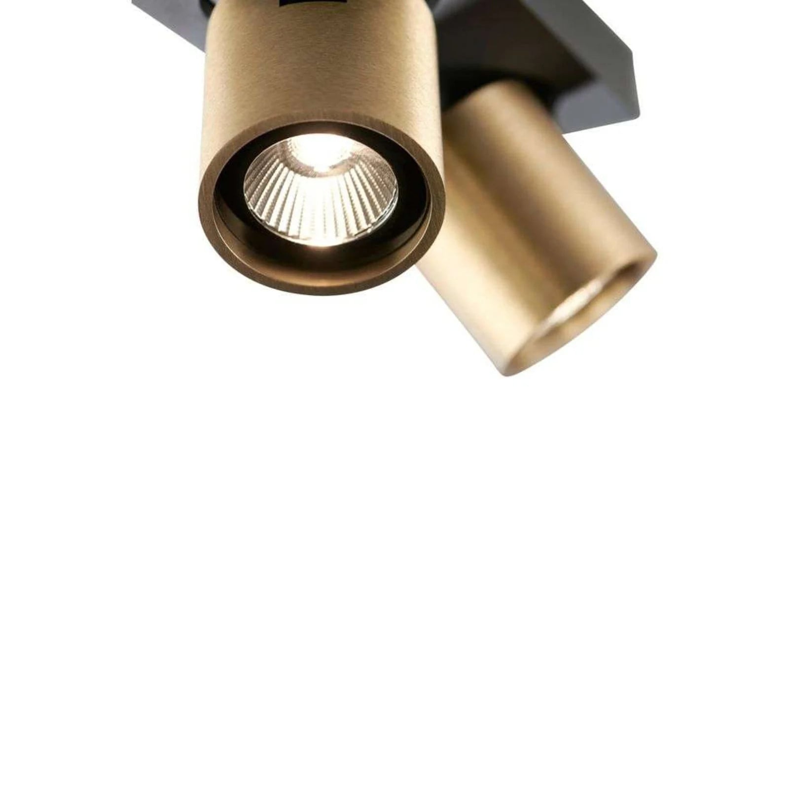 LIGHT-POINT Focus 2 LED Plafondlamp 3000K Brass - Aluminium