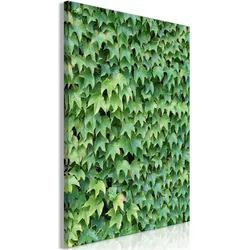 Artgeist, Bilder, Thick Ivy (1 Part) Vertical (80 x 120 cm)