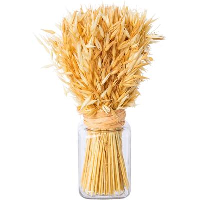 Trockenblume CREATIV HOME "Trockenblumenarrangement im Glas", beige (creme), H:30cm Ø:9cm, Kunstpflanzen