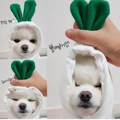 Uplifted Goods Plush Cartoon Fruit Pet Winter Fleece turnip s