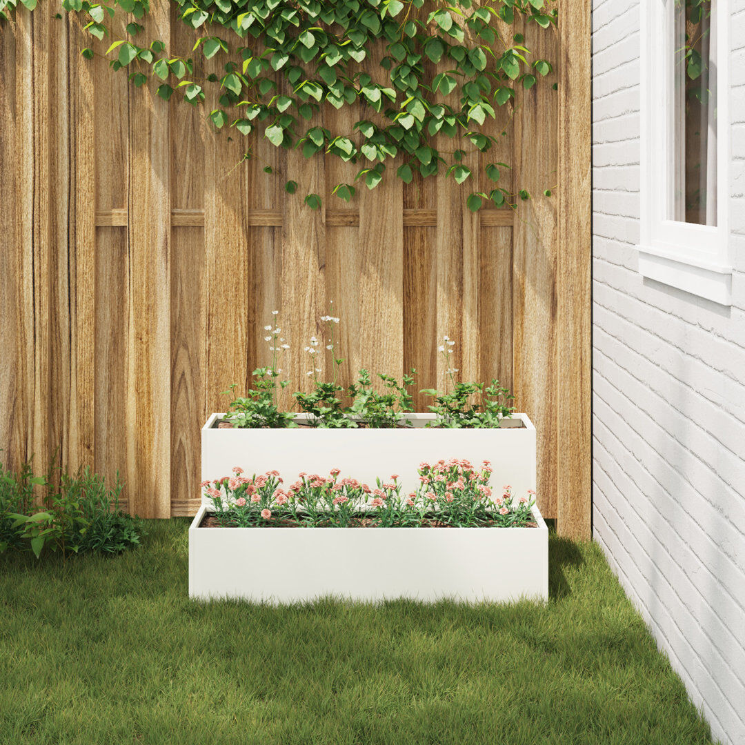 Brayden Studio Planter Box White 45cm H X 100cm W X 60cm D