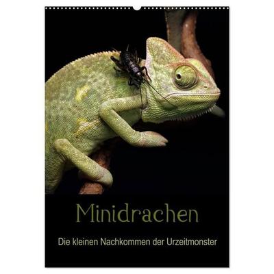 Minidrachen - Die kleinen Nachkommen der Urzeitmonster (Wandkalender 2027 DIN A2 hoch), CALVENDO Monatskalender