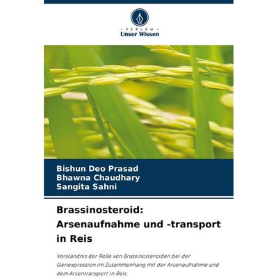 Brassinosteroid: Arsenaufnahme und -transport in Reis, Taschenbuch von Bishun Deo Prasad,Bhawna Chaudhary,Sangita Sahni, Verlag Unser Wissen,