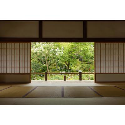Fototapete PAPERMOON "Photo-Art YUMIAN DENG, ZEN ZONE", bunt, B:5m L:2,8m, Vlies, Tapeten