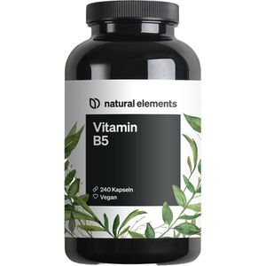 natural-elements Vitamin-B Pantothensäure, 240 Kapseln, Vitamin B5, vegan, 1 Kapsel täglich = 500 mg