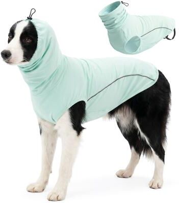 Fusion Finds Dog Cooling Shirt With UV Protection Breathable Summer Pet Clothing For Dogs & Cats green xxxl