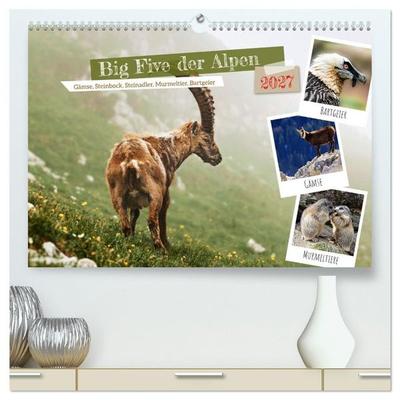 Big Five der Alpen Gämse, Steinbock, Murmeltier, Steinadler, Bartgeier (hochwertiger Premium Wandkalender 2027 DIN A2 quer), Kunstdruck in Hochglanz