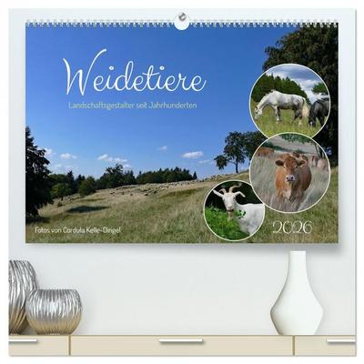 Weidetiere - Landschaftsgestalter seit Jahrhunderten (hochwertiger Premium Wandkalender 2026 DIN A2 quer), Kunstdruck in Hochglanz