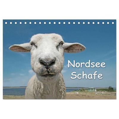 Nordsee Schafe (Tischkalender 2027 DIN A5 quer), CALVENDO Monatskalender