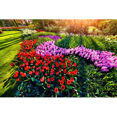 Fototapete PAPERMOON "Blumen im Garten", bunt, B:4m L:2,6m, Vlies, Tapeten