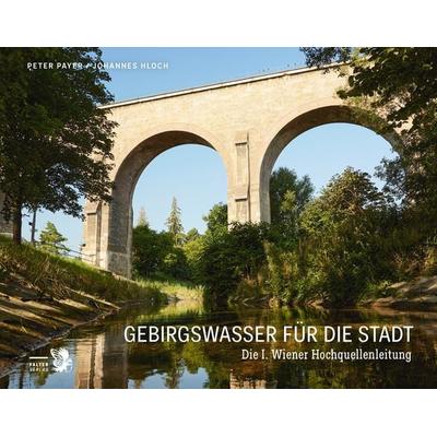 Gebirgswasser für die Stadt, Gebundene Ausgabe von Peter Payer, Falter Verlag, 978-3-85439-722-9