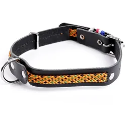 Martin Sellier Colorado (Hund, Allgemein, Spazieren), Halsband + Leine