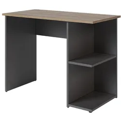Vicco, Schreibtisch, Schreibtisch Simple, Anthrazit/Artisan, 100 x 50 cm (100 x 50 x 76 cm)