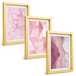 BILDER SET 3er Set - 20x30 cm Goldrahmen - Rosa geometrische Pfingstrosen