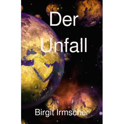 Der Unfall, Taschenbuch von Birgit Irmscher, Epubli, 978-3-7598-1904-8